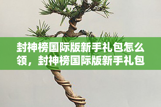 封神榜国际版新手礼包怎么领，封神榜国际版新手礼包，开启冒险之旅的必备神器