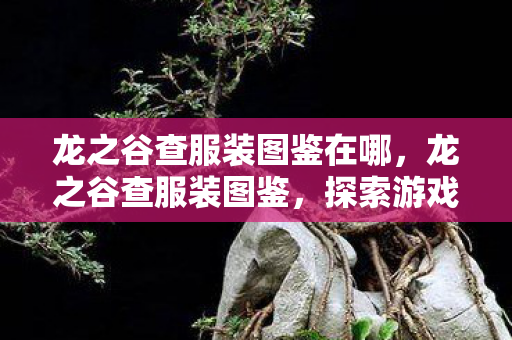 龙之谷查服装图鉴在哪，龙之谷查服装图鉴，探索游戏世界的时尚潮流