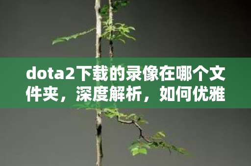 dota2下载的录像在哪个文件夹，深度解析，如何优雅地卸载Dota2并清理残留文件