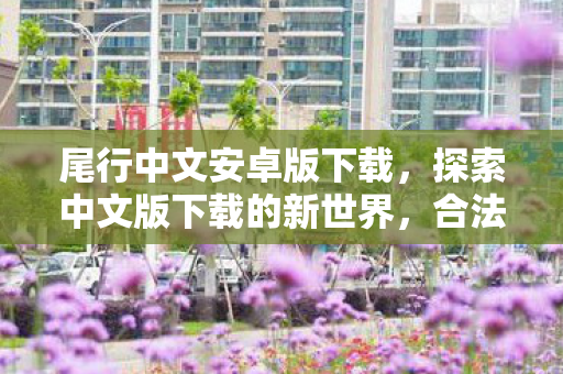 尾行中文安卓版下载，探索中文版下载的新世界，合法、便捷、高效的资源获取方式
