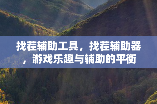 找茬辅助工具，找茬辅助器，游戏乐趣与辅助的平衡