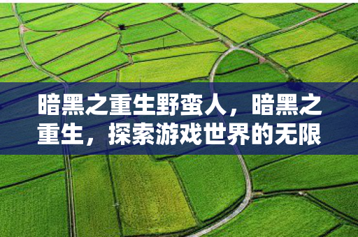 暗黑之重生野蛮人，暗黑之重生，探索游戏世界的无限可能