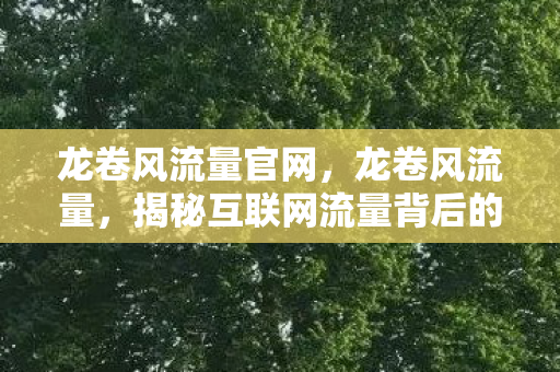 龙卷风流量官网，龙卷风流量，揭秘互联网流量背后的秘密
