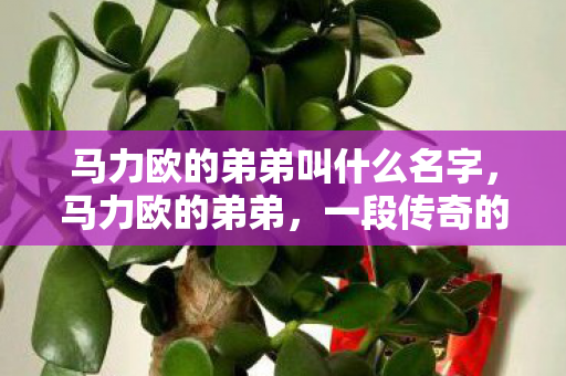 马力欧的弟弟叫什么名字，马力欧的弟弟，一段传奇的延续