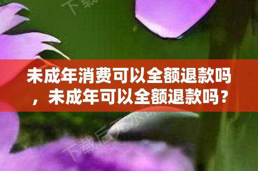 未成年消费可以全额退款吗，未成年可以全额退款吗？