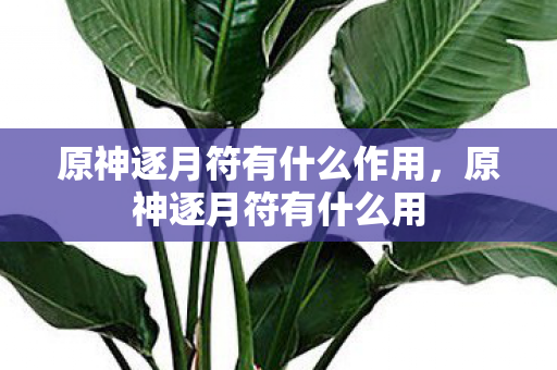 原神逐月符有什么作用，原神逐月符有什么用