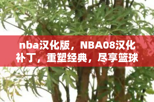 nba汉化版，NBA08汉化补丁，重塑经典，尽享篮球盛宴