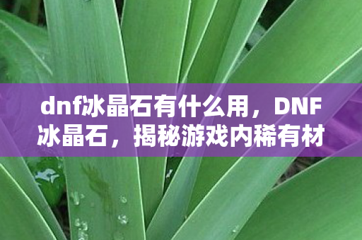 dnf冰晶石有什么用，DNF冰晶石，揭秘游戏内稀有材料的珍贵价值与应用