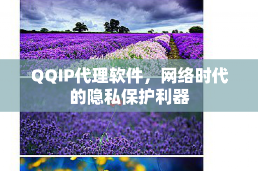 QQIP代理软件，网络时代的隐私保护利器