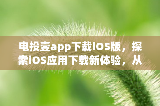 电投壹app下载iOS版，探索iOS应用下载新体验，从App Store到个性化推荐