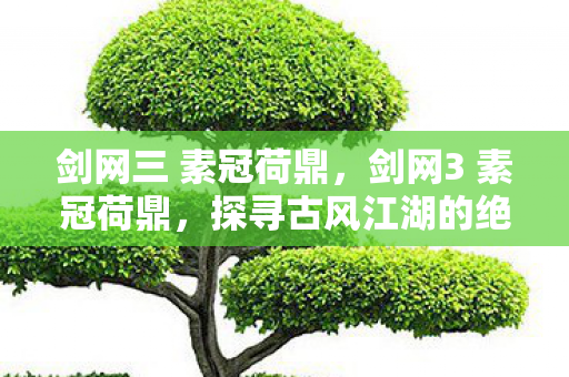 剑网三 素冠荷鼎，剑网3 素冠荷鼎，探寻古风江湖的绝美画卷