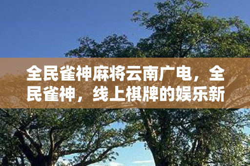 全民雀神麻将云南广电，全民雀神，线上棋牌的娱乐新纪元