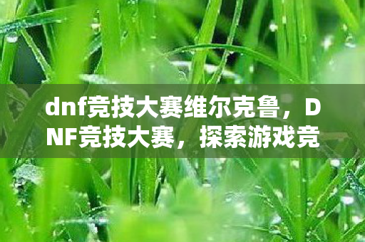 dnf竞技大赛维尔克鲁，DNF竞技大赛，探索游戏竞技的无限可能