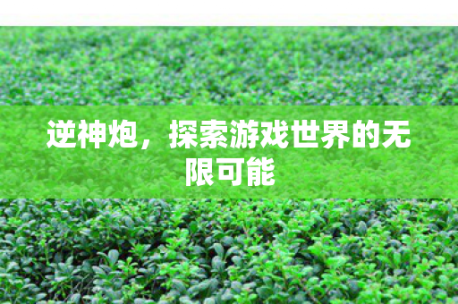 逆神炮，探索游戏世界的无限可能