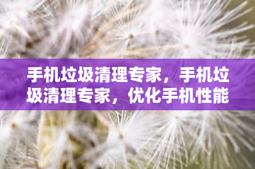 手机垃圾清理专家，手机垃圾清理专家，优化手机性能，提升使用体验