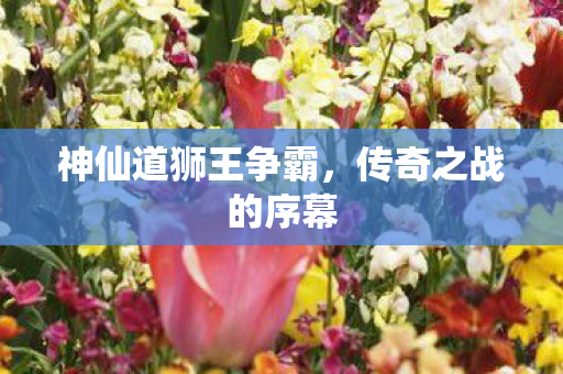 神仙道狮王争霸,传奇之战的序幕 神仙道狮王争霸,传奇之战的序幕