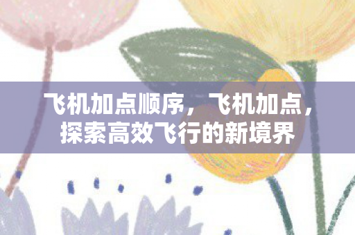 飞机加点顺序，飞机加点，探索高效飞行的新境界
