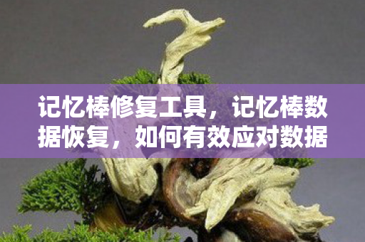 记忆棒修复工具，记忆棒数据恢复，如何有效应对数据丢失的难题