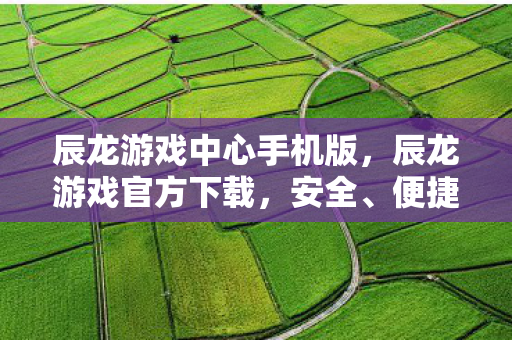 辰龙游戏中心手机版，辰龙游戏官方下载，安全、便捷的游戏体验