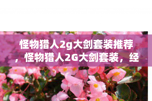 怪物猎人2g大剑套装推荐，怪物猎人2G大剑套装，经典再现，策略与技巧的完美结合