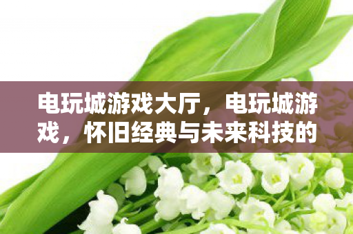 电玩城游戏大厅，电玩城游戏，怀旧经典与未来科技的碰撞