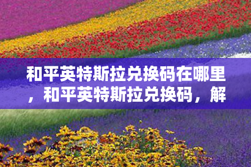 和平英特斯拉兑换码在哪里，和平英特斯拉兑换码，解锁未来驾驶体验