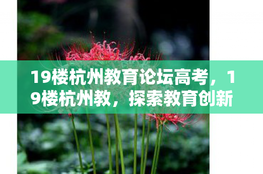 19楼杭州教育论坛高考，19楼杭州教，探索教育创新，引领未来学习趋势