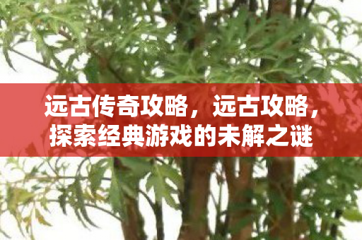 远古传奇攻略，远古攻略，探索经典游戏的未解之谜