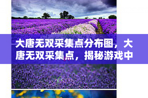 大唐无双采集点分布图，大唐无双采集点，揭秘游戏中的资源获取之道