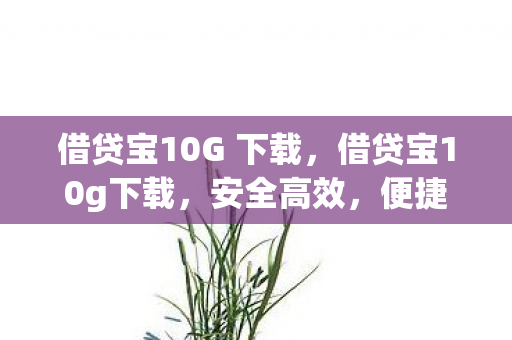 借贷宝10G 下载，借贷宝10g下载，安全高效，便捷体验