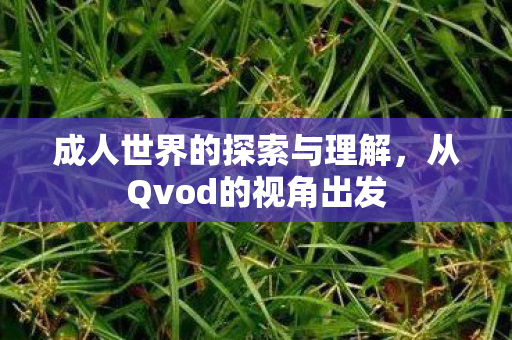 成人世界的探索与理解，从Qvod的视角出发