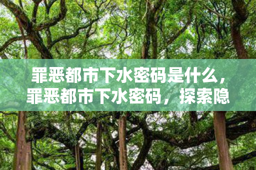 罪恶都市下水密码是什么，罪恶都市下水密码，探索隐藏的秘密与无限可能
