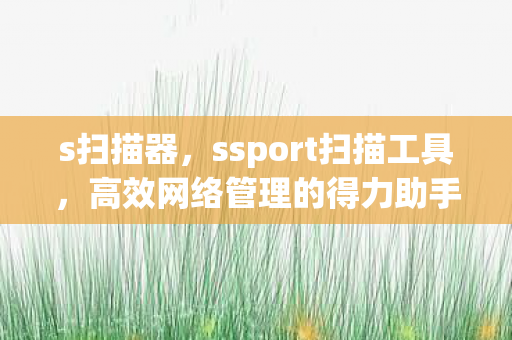 s扫描器，ssport扫描工具，高效网络管理的得力助手
