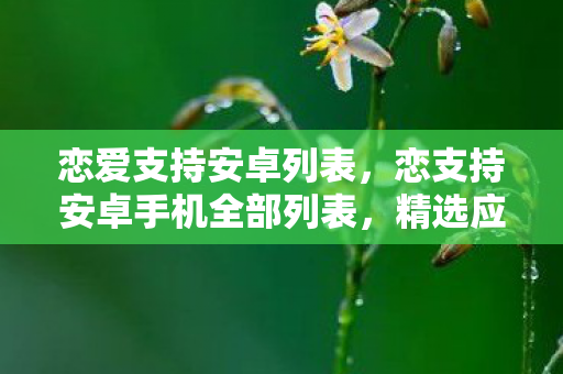 恋爱支持安卓列表，恋支持安卓手机全部列表，精选应用，打造个性化体验