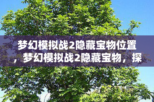 梦幻模拟战2隐藏宝物位置，梦幻模拟战2隐藏宝物，探寻游戏中的神秘宝藏