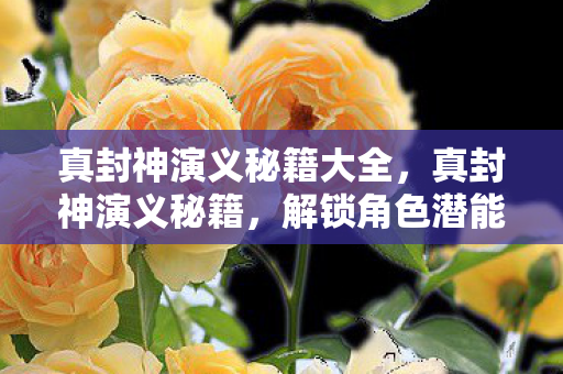 真封神演义秘籍大全，真封神演义秘籍，解锁角色潜能的终极指南