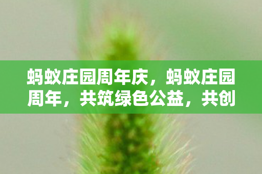 蚂蚁庄园周年庆，蚂蚁庄园周年，共筑绿色公益，共创美好未来