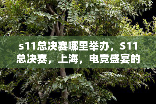 s11总决赛哪里举办，S11总决赛，上海，电竞盛宴的璀璨明珠