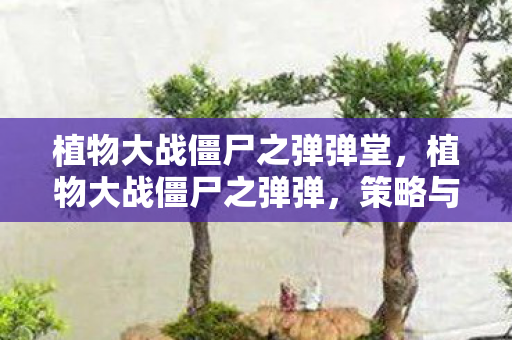 植物大战僵尸之弹弹堂，植物大战僵尸之弹弹，策略与乐趣的完美结合
