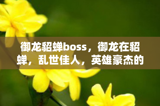 御龙貂蝉boss，御龙在貂蝉，乱世佳人，英雄豪杰的传奇故事