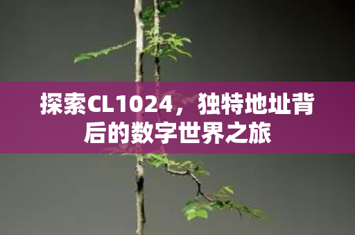 探索CL1024，独特地址背后的数字世界之旅