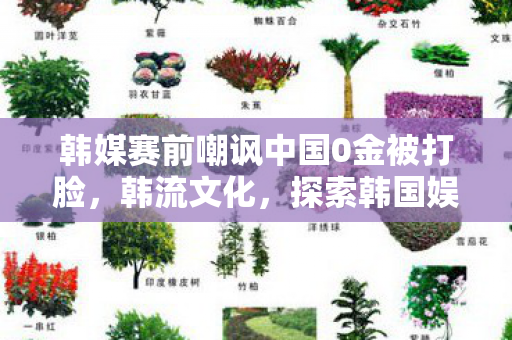 韩媒赛前嘲讽中国0金被打脸，韩流文化，探索韩国娱乐产业的独特魅力