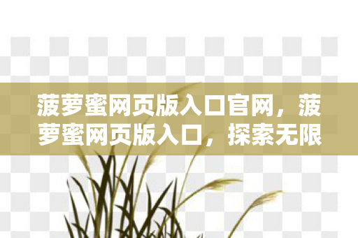 菠萝蜜网页版入口官网，菠萝蜜网页版入口，探索无限娱乐的官方途径