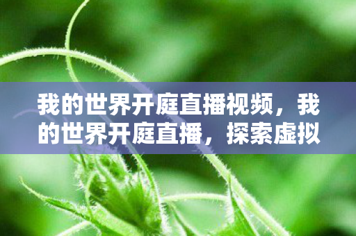 我的世界开庭直播视频，我的世界开庭直播，探索虚拟世界的法律边界