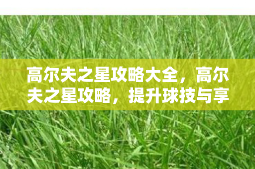高尔夫之星攻略大全，高尔夫之星攻略，提升球技与享受游戏的全方位指南