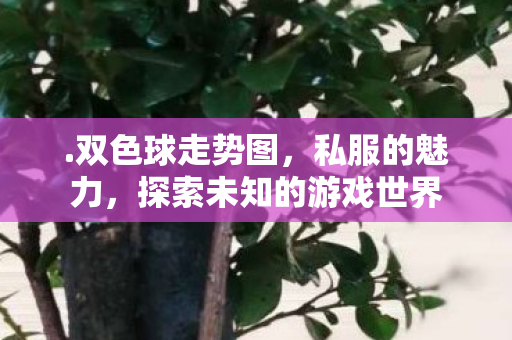 .双色球走势图，私服的魅力，探索未知的游戏世界
