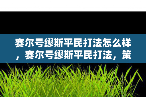 赛尔号缪斯平民打法怎么样，赛尔号缪斯平民打法，策略与技巧