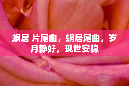 蜗居 片尾曲，蜗居尾曲，岁月静好，现世安稳