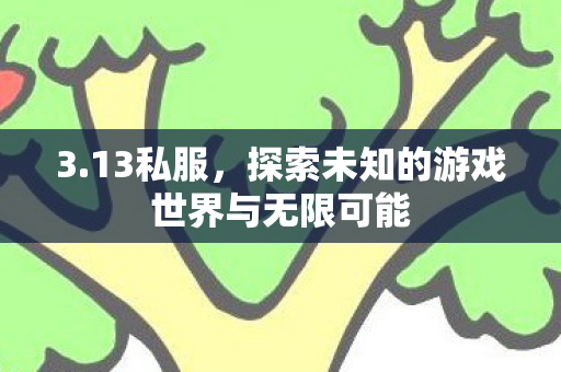 3.13私服，探索未知的游戏世界与无限可能