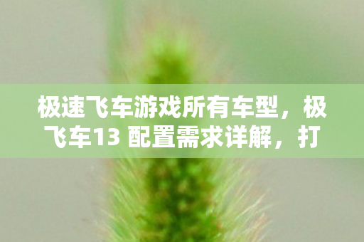 极速飞车游戏所有车型，极飞车13 配置需求详解，打造流畅游戏体验